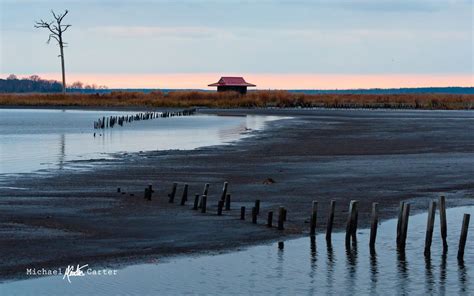 Sunrise at Blackwater Refuge | Blackwater, Scenic, Photo