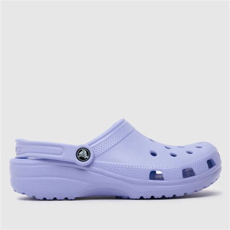 Womens Purple Crocs Classic Clog Sandals | schuh