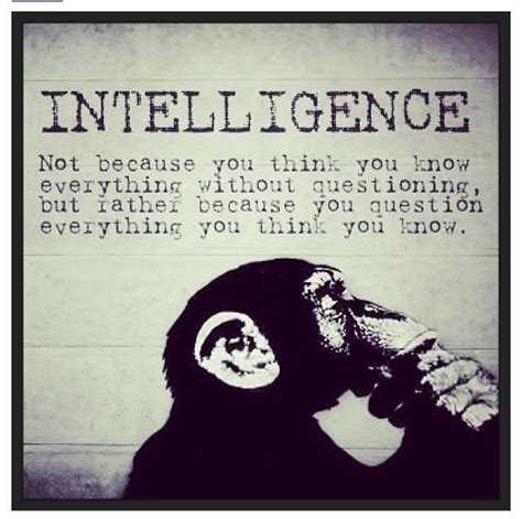 Monkey Quotes. QuotesGram