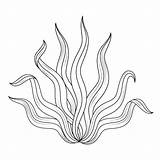 Kelp Coloring Pages sketch template