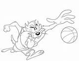 Demonio De Tasmania Dibujo Para Colorear Mi Colecci N Dibujos  The sketch template