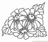 Google Image Result For Http//wwwcoloringpages101com/coloring Pages  sketch template