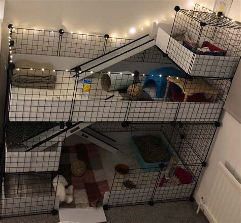 Gallery - C&C Guinea Pig Cages - Mesh and Grid Cages for Pets | Guinea pig cage, Guinea pig ...