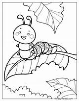 20 Caterpillar Coloring Pages Free PDF Printables sketch template