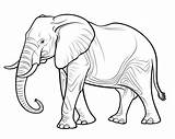 Elephant Coloring Pages sketch template