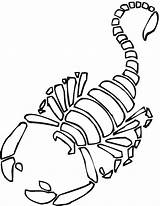 Scorpion 2 Coloring Page  Free Printable Pages For Kids sketch template