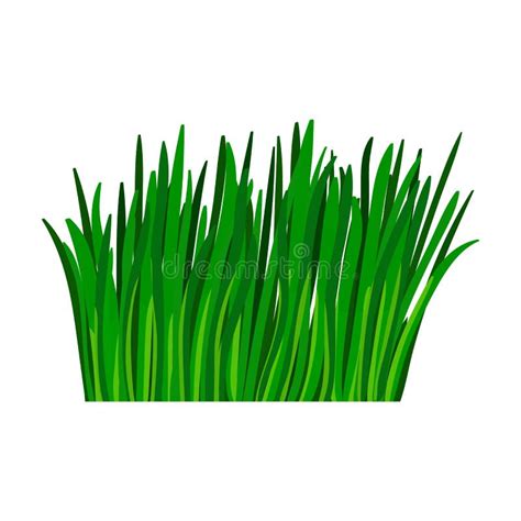 Green Grass Vector Icon.Cartoon Vector Icon Isolated on White Background Green Grass. Stock ...