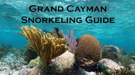 15 Grand Cayman snorkeling beaches | Snorkel Around The World