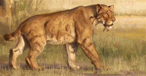 Smilodon (Sabertooth Cat), by Jonathan Kuo | Prehistoric animals, Extinct animals, Prehistoric ...