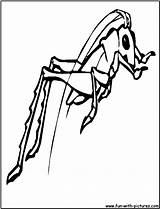Cartoon Crickets Insect Coloring Pages sketch template