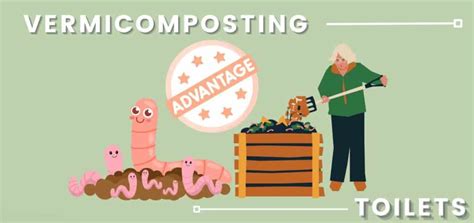 Composting toilet- Types | Practically Green