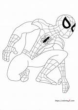 Marvel Spiderman Coloring Pages  2 Free Sheets 2021 sketch template