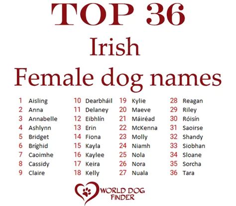 Dog Names 2024 Female - Siana Dorothea