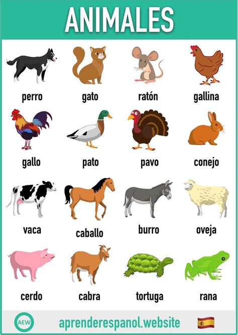 Los animales en español | Spanish teaching resources, Learning spanish ...