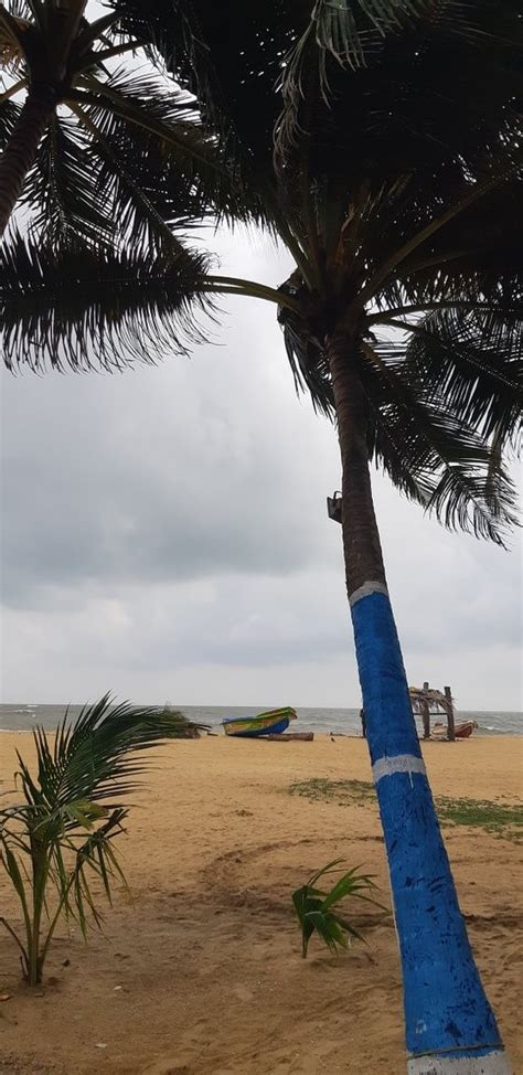 Negombo Beach (Sri Lanka): UPDATED May 2019 Top Tips Before You Go ...