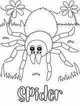 Spider Coloring Page DIGITAL DOWNLOAD Printable  Etsy sketch template