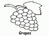 Free Grapes Coloring Page Download Png  sketch template