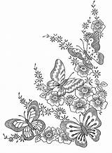 Bluebonnet Flowers Coloring Pages & coloring Book sketch template