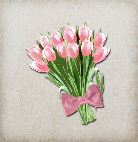 Pink Tulips Clipart With Bow Free Stock Photo - Public Domain Pictures