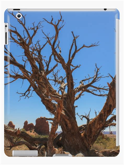 "Tree Veins" iPad Cases & Skins by witchwindow | Redbubble