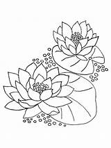 Water lily coloring Pages Download And Print sketch template