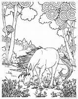 Printable Realistic Unicorn Coloring Pages sketch template