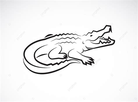 Crocodile Vector Design Images, Vector Of Crocodile Design On White ...