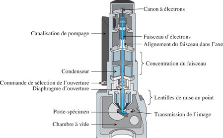 Principe du microscope électronique | Annabac