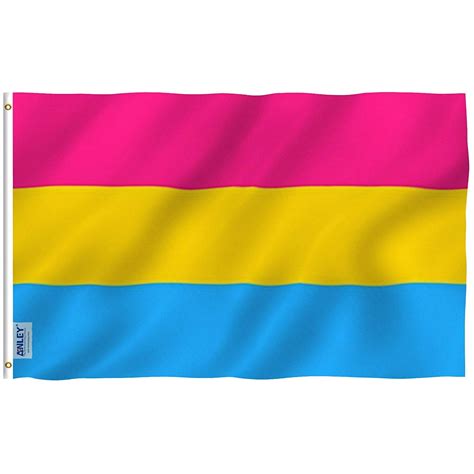 ANLEY Fly Breeze 3x5 Foot Pansexual Pride Flag - Vivid Color and UV ...