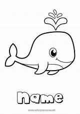 Coloring page No1637  Cute Whale Animal sketch template
