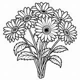 Gerbera Daisy Flower Outline Illustration coloring Book Page Design  sketch template