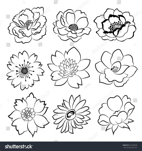Hand Drawn Flower Set Black White Stock Vector (Royalty Free) 262508948 | Shutterstock