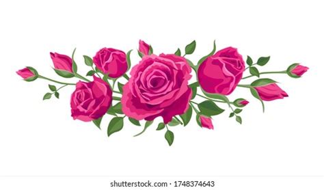 Bouquet, guirnalda de rosas rosas rosas.: vector de stock (libre de ...