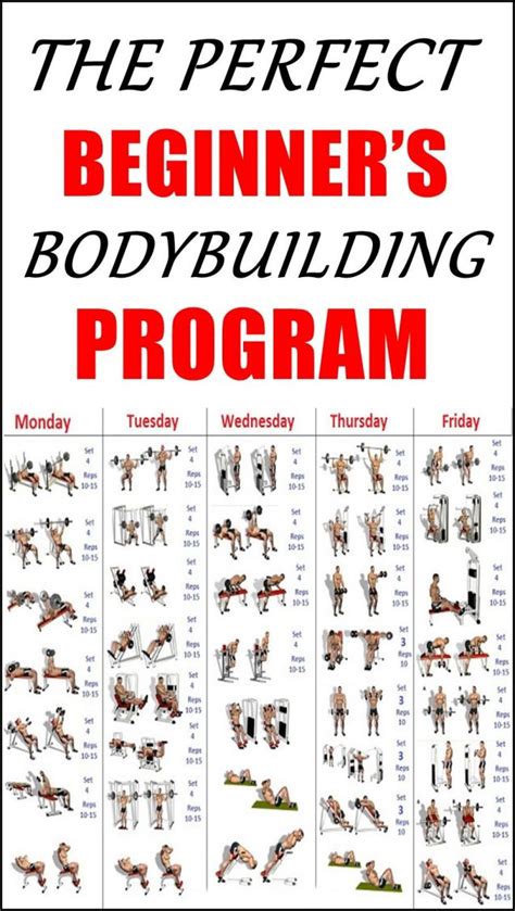 THE PERFECT BEGINNERS BODYBUILDING PROGRAM #LowerBackPain | Bodybuilding program, Workout ...