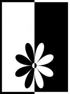 Black And White Flower Animated Wallpaper - Easy Pic Download