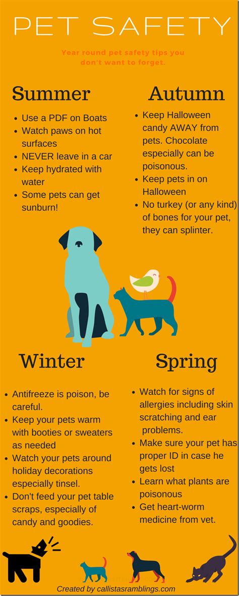 Pet Safety Infographic - Callista's Ramblings | Pet safety, Pet care tips, Dog care tips