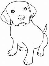 16  Coloriage De Chiots Color Info sketch template