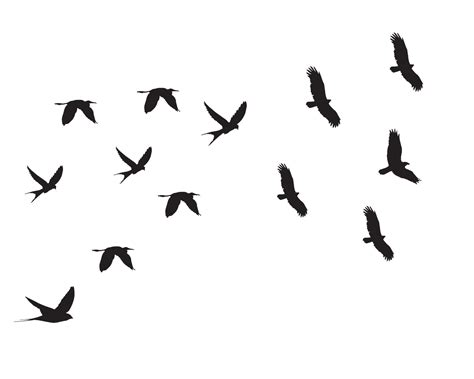 Flock Of Flying Birds Silhouette