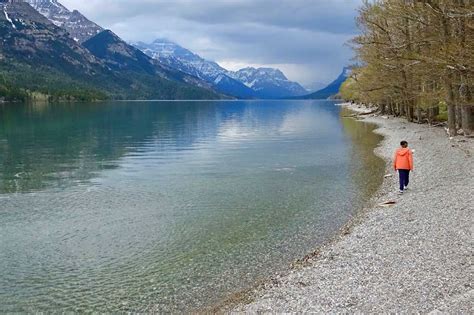 Waterton Lakes National Park after the Kenow Wildfire