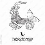 Line Art Design Of Capricorn Zodiac Sign For Element And Adult  sketch template