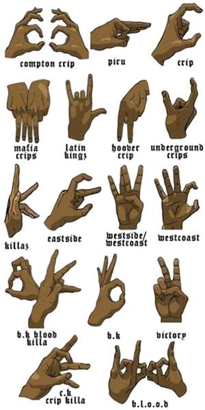 20 Street gangs: colors, logos, hand signs, etc. ideas | gang, biker ...