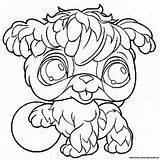 Coloring Pages Littlest Pet Shop  Page 2 Printable sketch template
