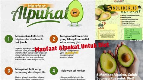 8 Manfaat Alpukat untuk Diet yang Jarang Diketahui - Solider