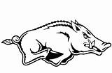 Big Boar Coloring Page  Free Printable Pages For Kids sketch template