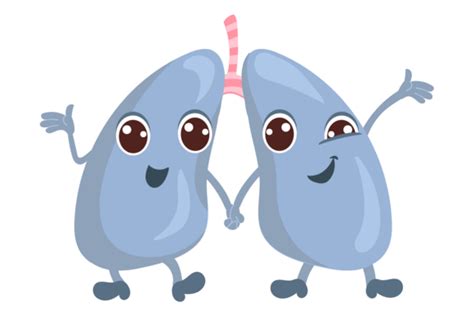 Healthy Lungs Characters. Cartoon Human Graphic by vectorbum · Creative ...