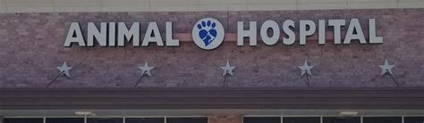 Quality Veterinary Care in Houston, TX | South Belt Animal Hospital