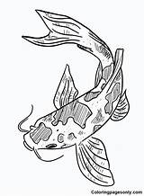 Koi Fish Coloring Pages Printable For Free Download sketch template