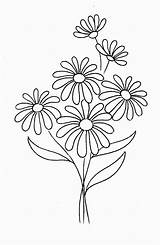 Daisy Coloring Page sketch template