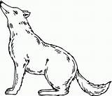 Free Printable Wolf Coloring Pages For Kids sketch template