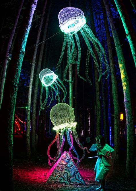 Electric Forest Festival - DTPhotoworks | Electric forest festival ...